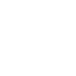 Roofs