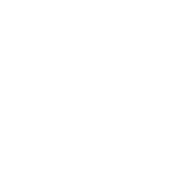 Icon representing stadium